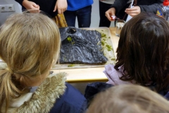 mbs-waerme-lich-ausstellung-20191119-40