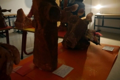 mbs-waerme-lich-ausstellung-20191119-68