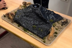 mbs-waerme-lich-ausstellung-20191119-81-scaled