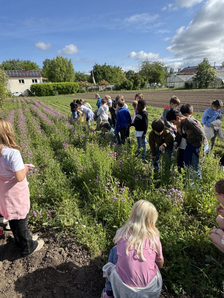 Kinder der Klasse 2 auf einer Wiese bei der Grünen Lunge Frankfurt
