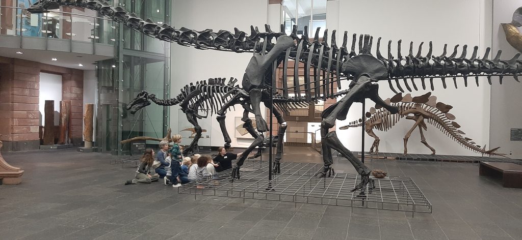 Klasse 1d Gruppe 1 im Senckenbergmuseum