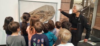 Klasse 1d Gruppe 1 im Senckenbergmuseum