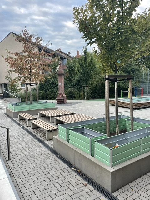 Blick über den verschönerten Schulhof der Mühlbergschule mit neuen grünen Blumenkästen und Sitzgelegenheiten unter Herbstbäumen