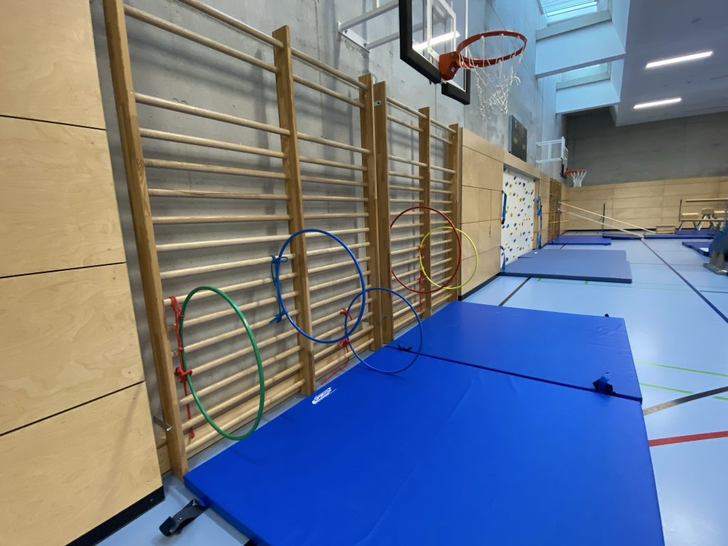 Sprossenwand mit bunten Ringen und blauer Matte in der Turnhalle, Be Active Day Parcours