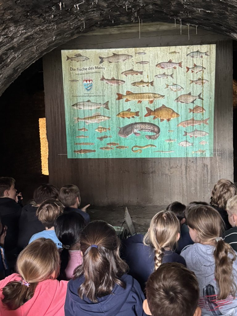 Kinder betrachten eine projizierte Tafel Die Fische des Mains in den Fischerhallen Frankfurt