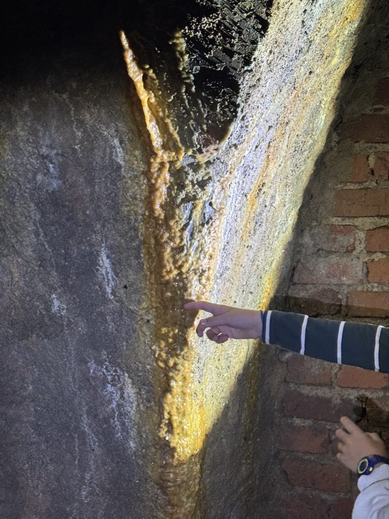 Kind zeigt auf eine angeleuchtete Mauerfuge zwischen Stein und Backstein in den Fischerhallen Frankfurt