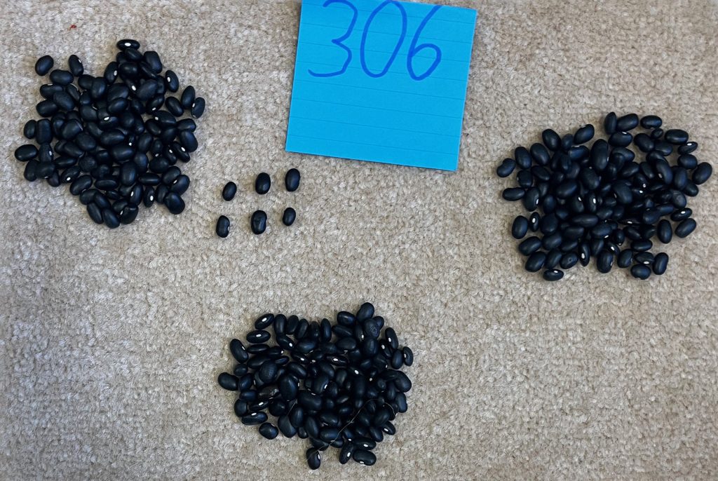 Schwarze Bohnen in großen und kleinen Haufen mit Zettel 306, Große Mengen zählen Klasse 3c