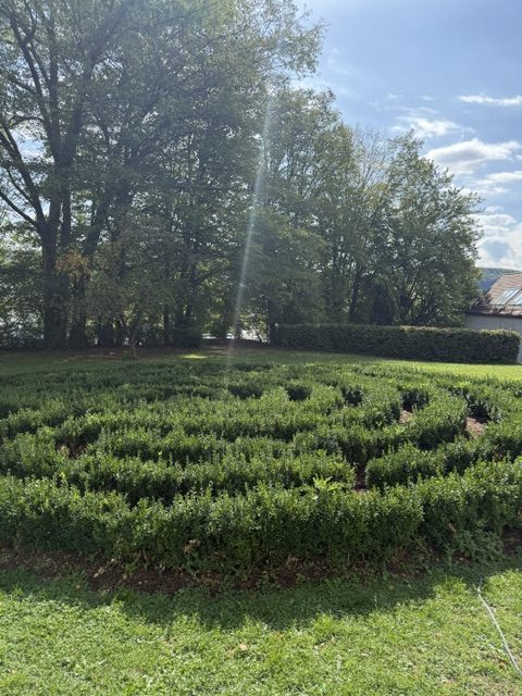 Heckenlabyrinth auf einer Wiese, Klassenfahrt Jahrgang 4 nach Höchst im Odenwald